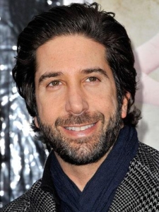 david schwimmer