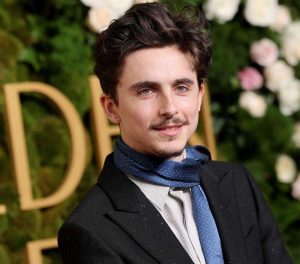 timothée chalamet
