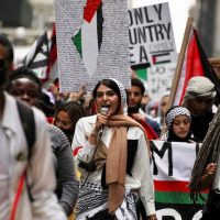 nerdeen kiswani 1774631210