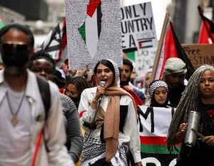 nerdeen kiswani 1774631210