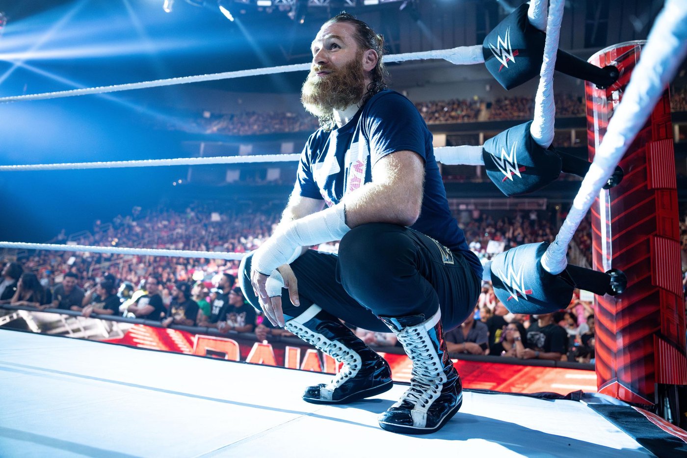Sami Zayn